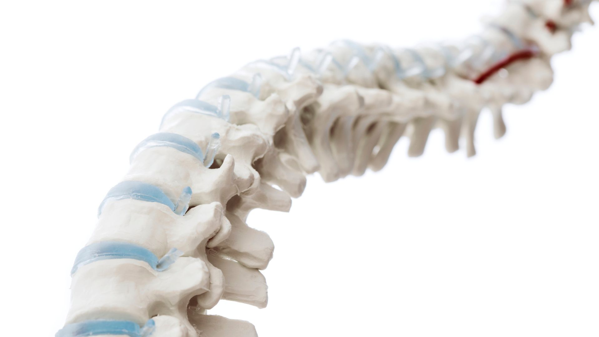 Orthopädie Platzhalter